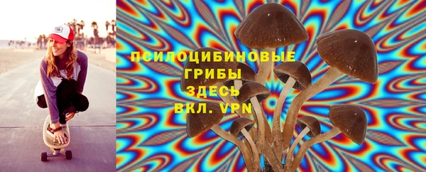 стафф Беломорск